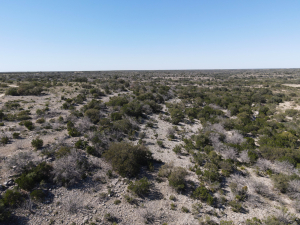 2579 County Rd 102 (235)