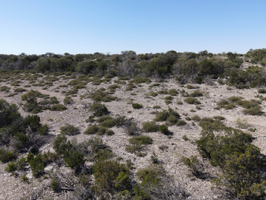 2579 County Rd 102 (238)
