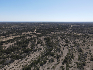 2579 County Rd 102 (241)