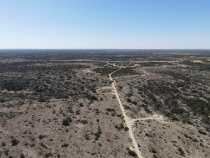 2579 County Rd 102 (244)