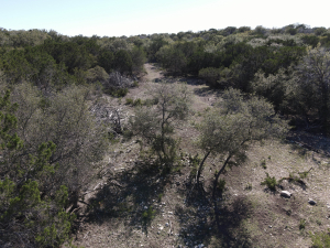 2579 County Rd 102 (249)