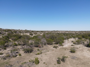 2579 County Rd 102 (253)