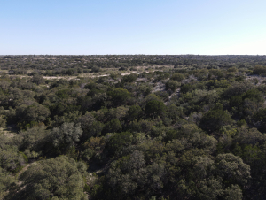 2579 County Rd 102 (260)