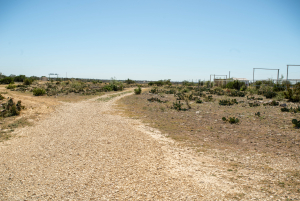 2579 County Rd 102 (89)