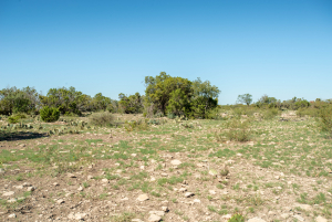2579 County Rd 102 (99)