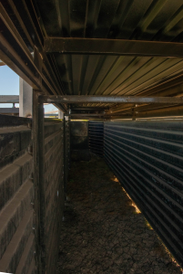 2579 County Rd 102 (119)