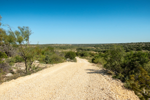 2579 County Rd 102 (151)