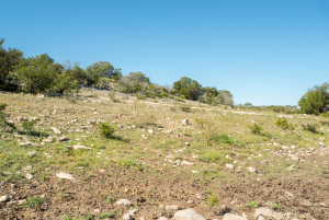 2579 County Rd 102 (157)