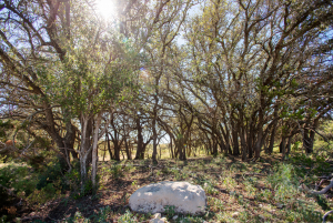 2579 County Rd 102 (59)