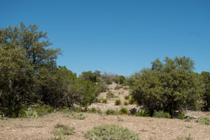 2579 County Rd 102 (63)