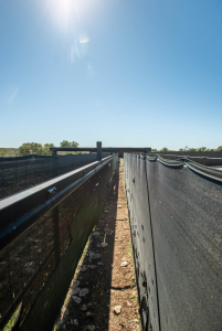 2579 County Rd 102 (71)