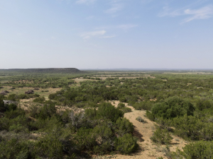 Pruitt Rd (53)