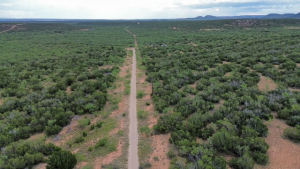 Private Road (2)