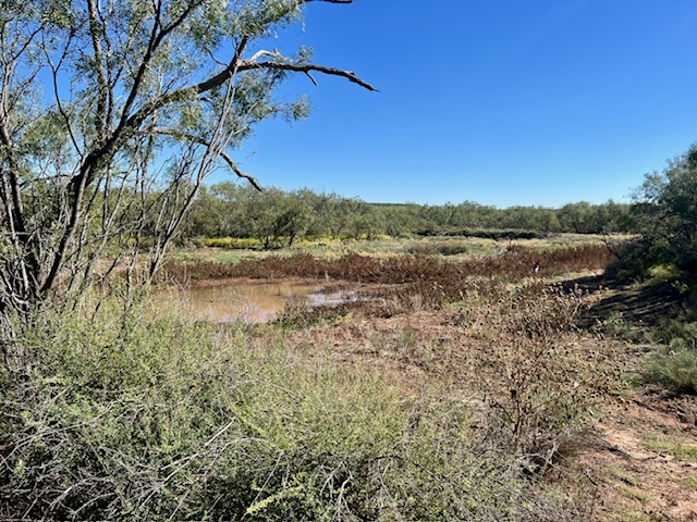 Buffalo Creek Rd