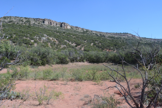 HWY 208