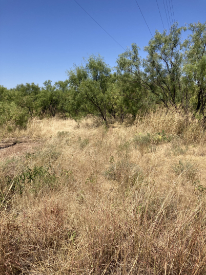 Hwy 83